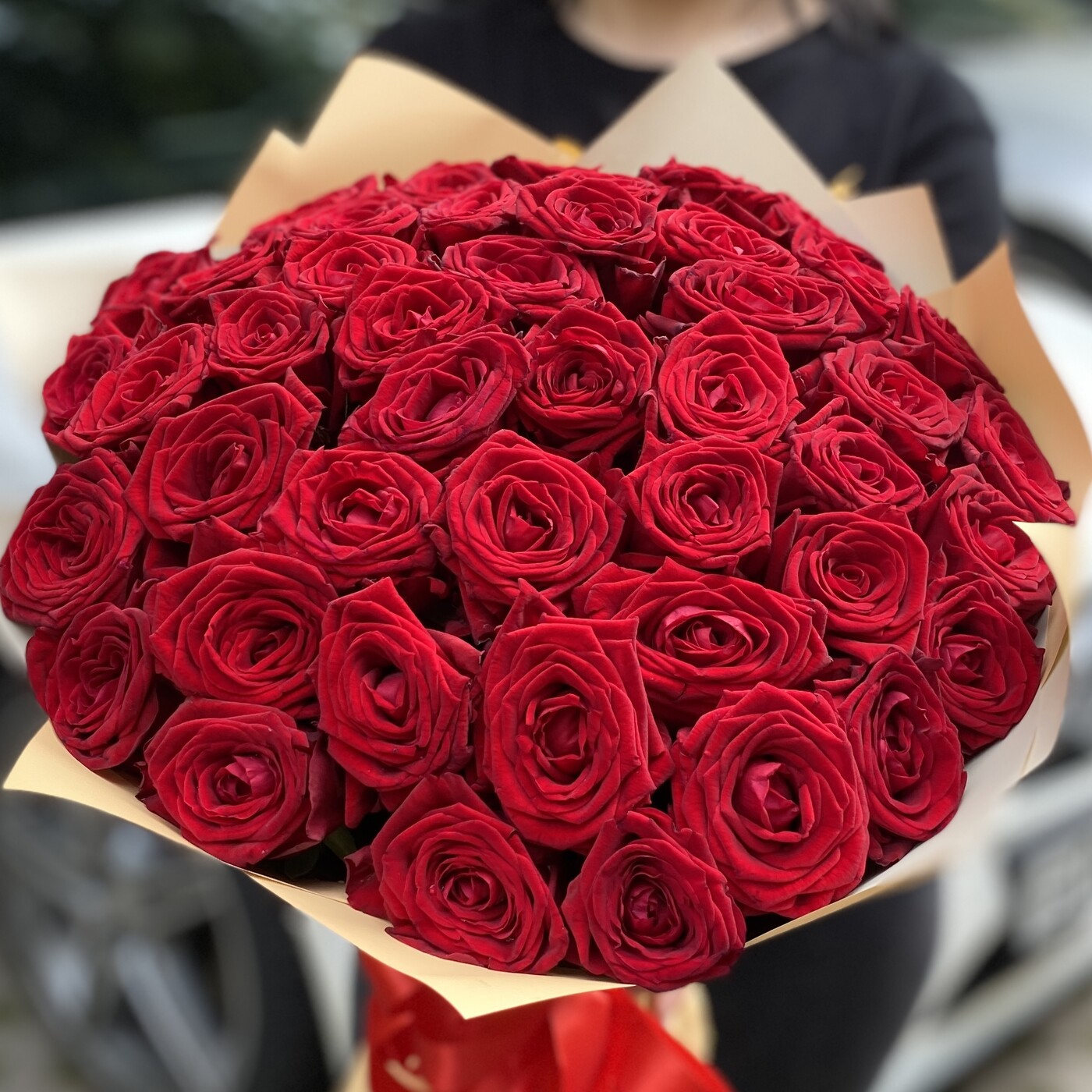 51 красная роза Premium 50 см