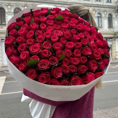 101 красная роза Premium 50 см